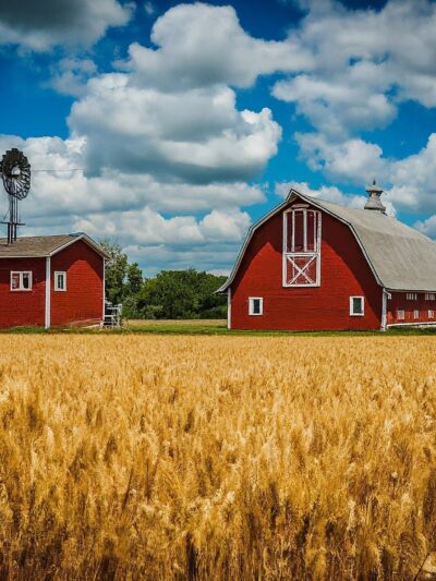 Agriculture Land